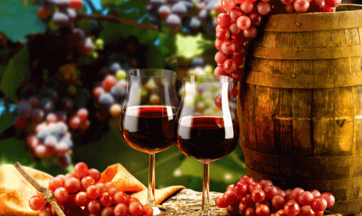 Curated Wines