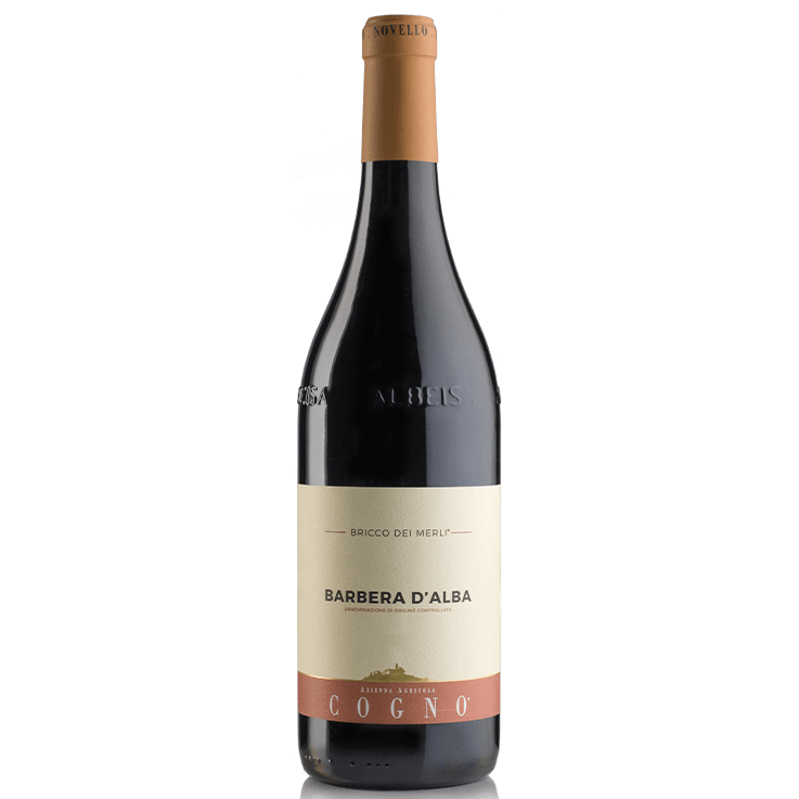 Elvio Cogno Barbera D'Alba Bricco Dei Merli DOC wine bottle showcasing rich ruby-red color and elegant labeling.