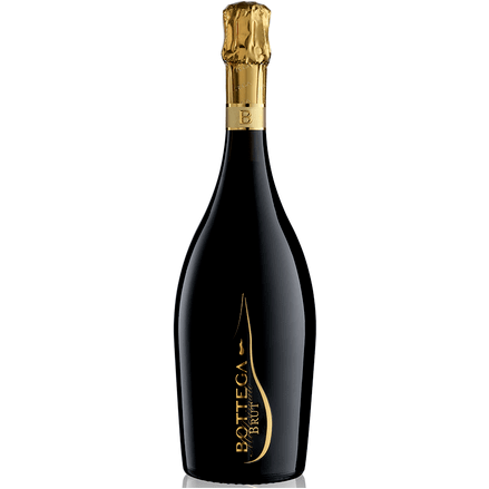 Bottega Prosecco Millesimato Brut - Curated Wines