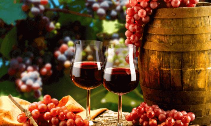 Why should quality wines cost a fortune? - Why should quality wines cost a fortune? That was the question uppermost in our minds when we started off. WELL, IT SHOULDN’T. Browse our online store and know for yourself. - Curated Wines