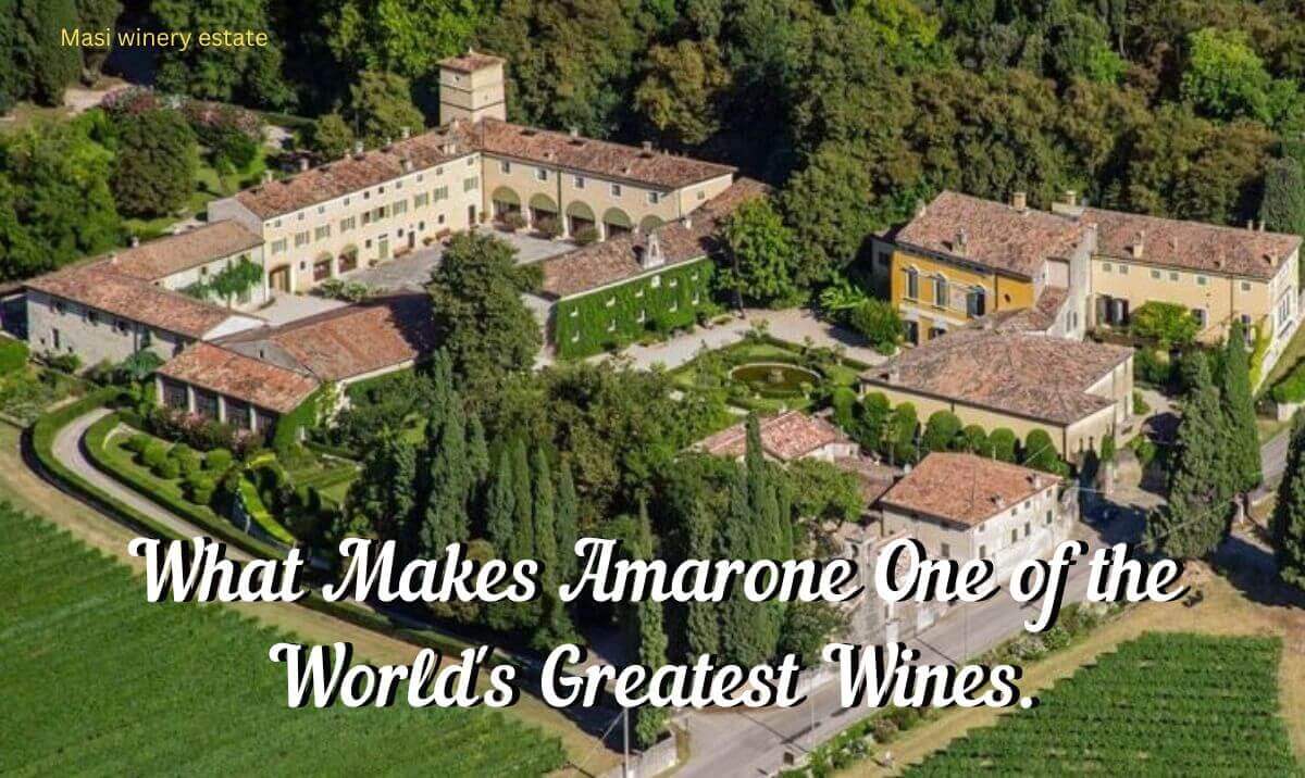 What Makes Amarone the King of Wines - What Makes Amarone One of the World's Greatest Wines. This blog highlights the many factors that contribute to making Amarone one of the world's most loved wines. - Curated Wines