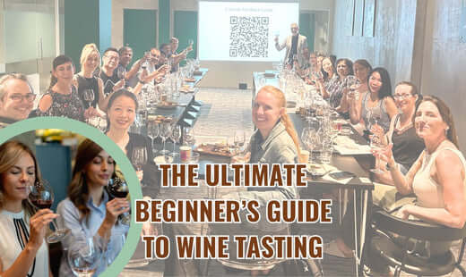 The Ultimate Beginner’s Guide to Wine Tasting and Appreciation