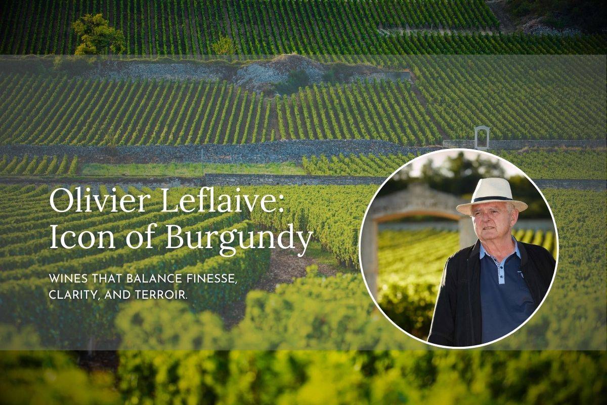 Profile - Olivier Leflaife Oct 2025 Curated Wines