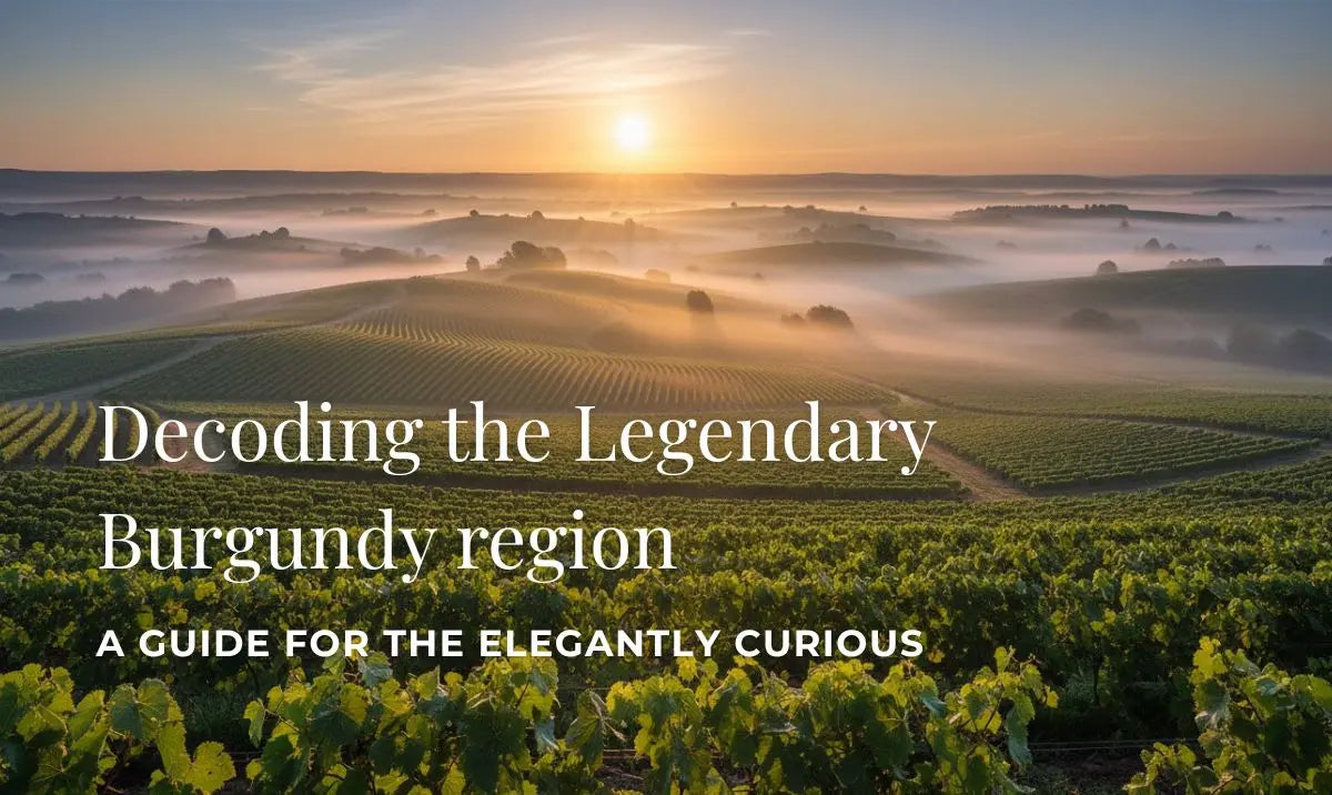 Decoding the Burgundy Region Curated Wines