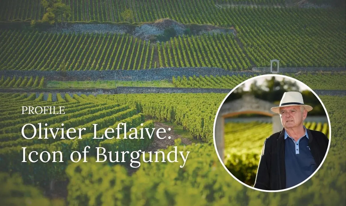 Profile - Olivier Leflaife Oct 2025 Curated Wines