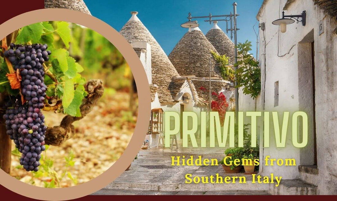 Discover the Bold Charm of Primitivo Wines: