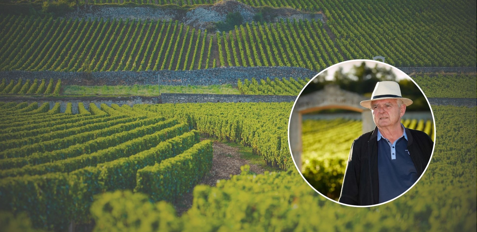 Desktop Slider Image