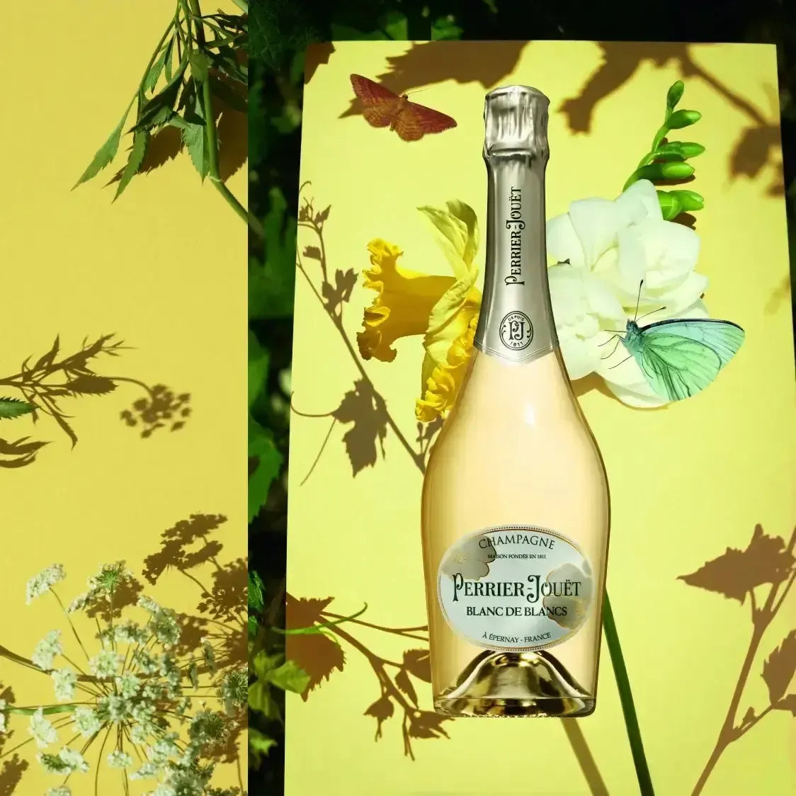 Perrier‐Jouet Blanc De Blancs - Curated Wines