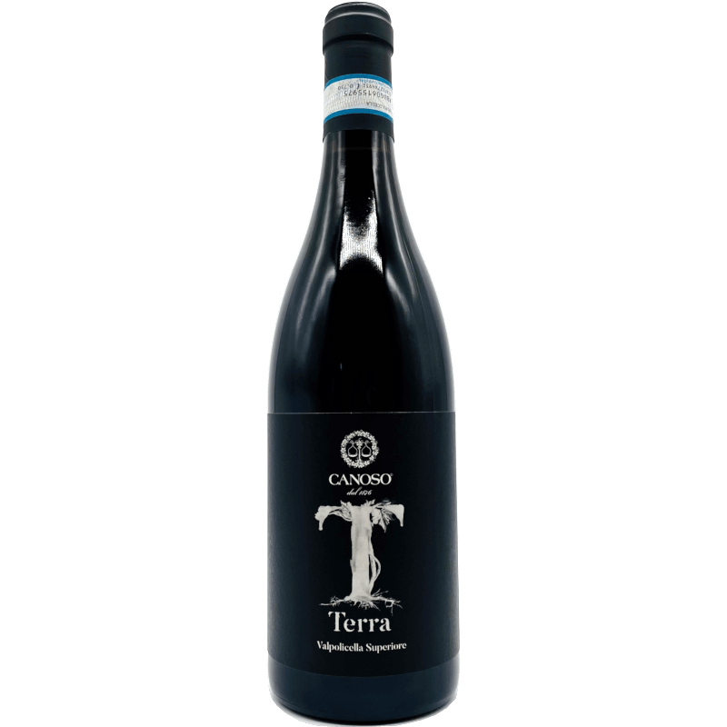 Canoso Terra Valpolicella Superiore 2016 - Curated Wines
